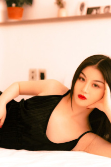 完美的妻子
